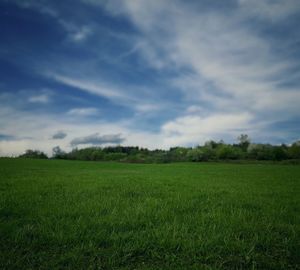 Scenic view of grassy field against cloudy sky