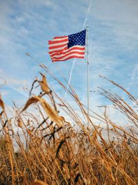 Low angle view of american flag by plants on field against cloudy sky