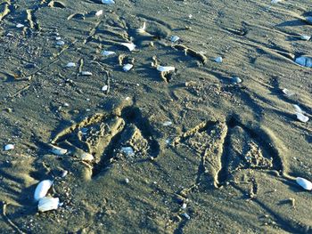 High angle view of sand on beach