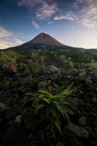 Mount merapi