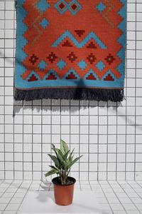 Potted plant on table against wall