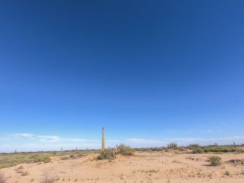 Scenic view of desert against clear blue sky