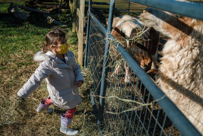 Full length of girl standing by fence