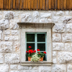 Flower pots on window of building