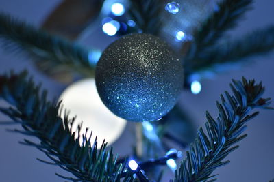 Close-up of christmas tree