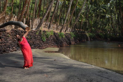 Side view of woman standing by tree in forest
