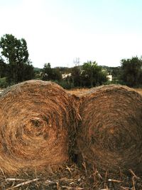 Hay bales on field against clear sky