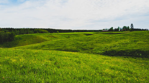 Scenic view of rolling field against sky