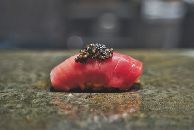 Close-up of sushi on table