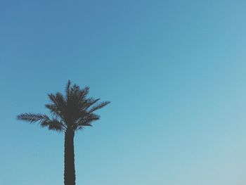 Low angle view of trees against clear blue sky