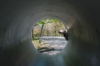 View of tunnel