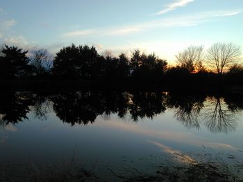 Reflection of trees in calm lake