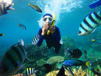 A girl snorkelling in the clear ocean and saying hello to all the fish and kissing