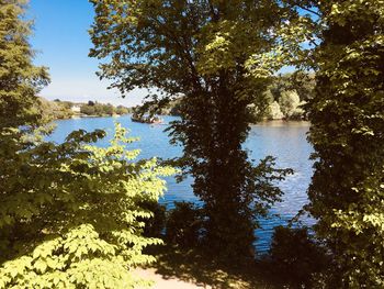 Scenic view of lake in forest against sky