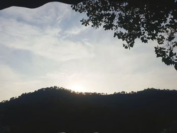 Low angle view of silhouette trees against sky during sunset