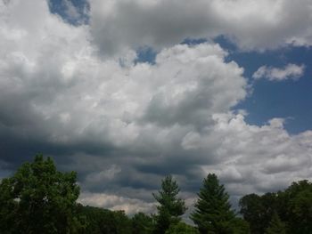 Low angle view of trees against cloudy sky