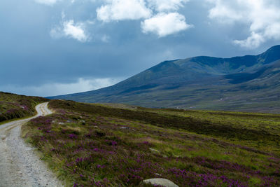 Scenic view of road by mountains against sky