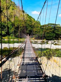 Footbridge amidst trees in forest against sky