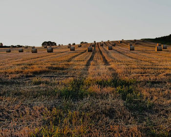 Hay bales on field against clear sky