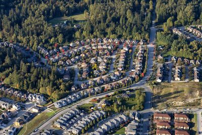 High angle view of trees and buildings in city