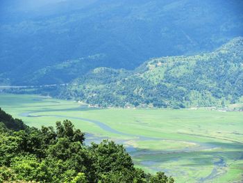 High angle view of trees and mountains