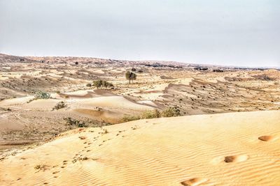 Sand dunes in desert against sky