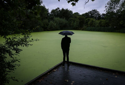 Rear view of man in water