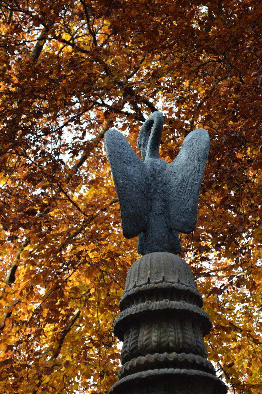 LOW ANGLE VIEW OF STATUE AGAINST TREE