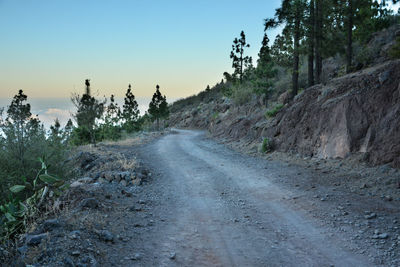 Road amidst trees against clear sky