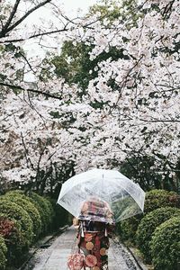 Woman with umbrella