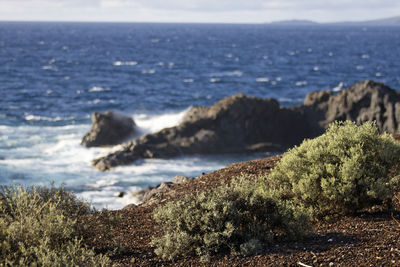 Scenic view of sea against sky