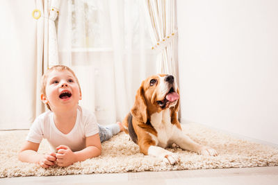 Cute dog sitting outdoors