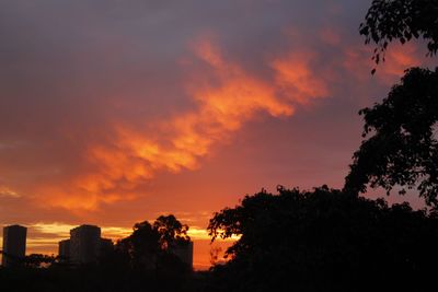 Silhouette trees against dramatic sky during sunset