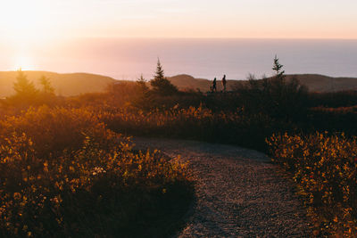 Scenic view of landscape against sky during sunset