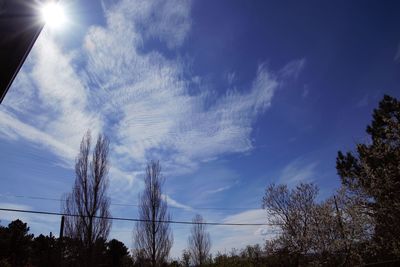 Low angle view of silhouette trees against blue sky