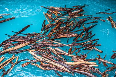 High angle view of fish for sale