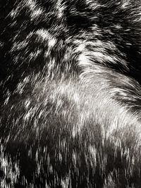 Full frame shot of abstract background