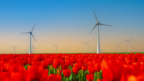 Scenic view of field against clear sky