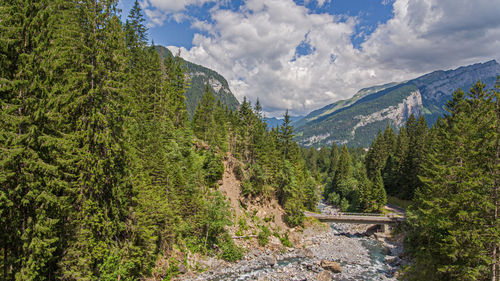 Scenic view of waterfall in forest against sky