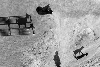 High angle view of people on sea shore