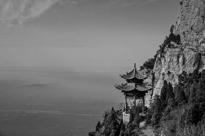 Low angle view of trees