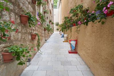 Narrow street decorated with geranium flowers