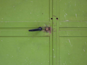 Green iron garage door