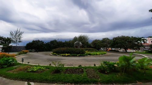 Trees and plants in garden against sky