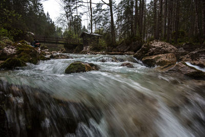 Scenic view of waterfall in forest