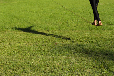 Low section of woman balancing on tightrope over grass