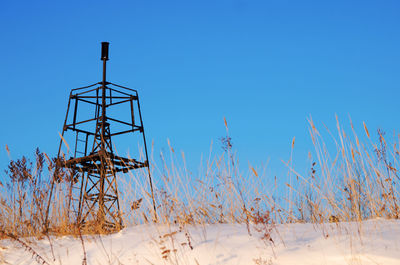 Plants on field against clear blue sky during winter