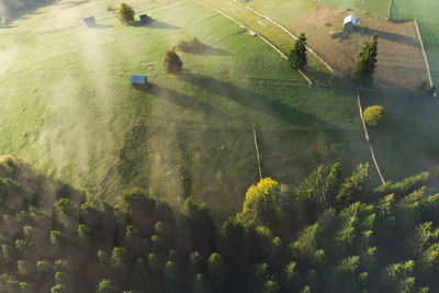 High angle view of agricultural field