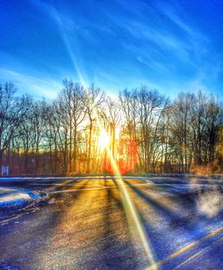 Sun shining through trees