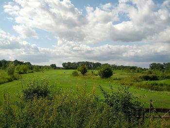 Scenic view of field against cloudy sky